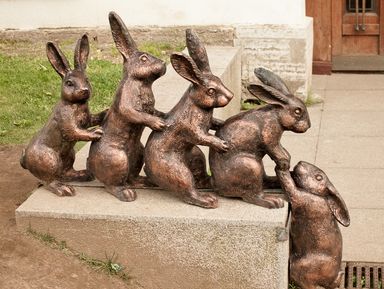 Сколько зайцев в Петербурге? – индивидуальная экскурсия